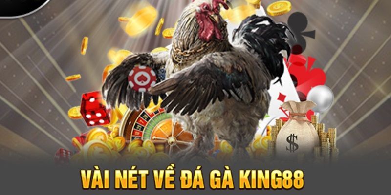 Đôi nét về trang web đá gà uy tín King88 