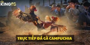 Trực tiếp đá gà Campuchia